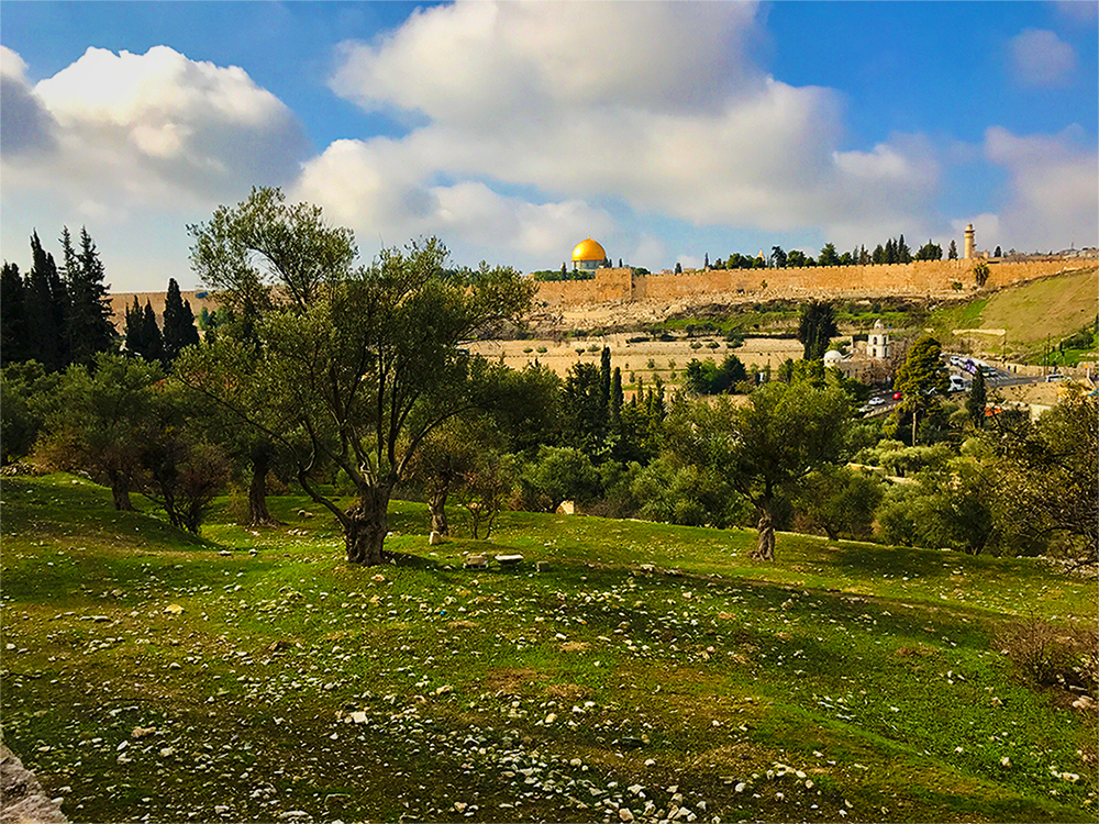 Gethsemane and the Temple Mount Israel Israel God is Calling