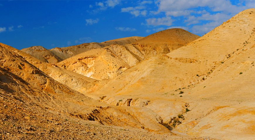 lds-israel-desert-tours