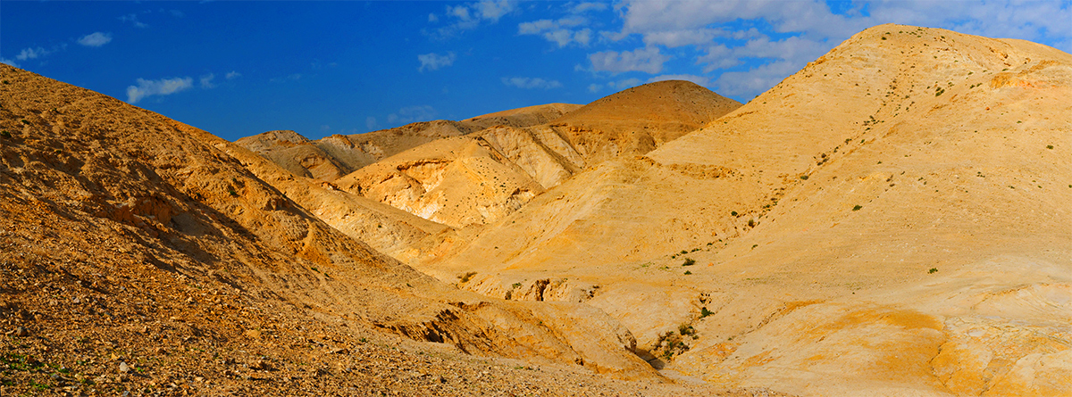 LDS Desert Tours in Israel