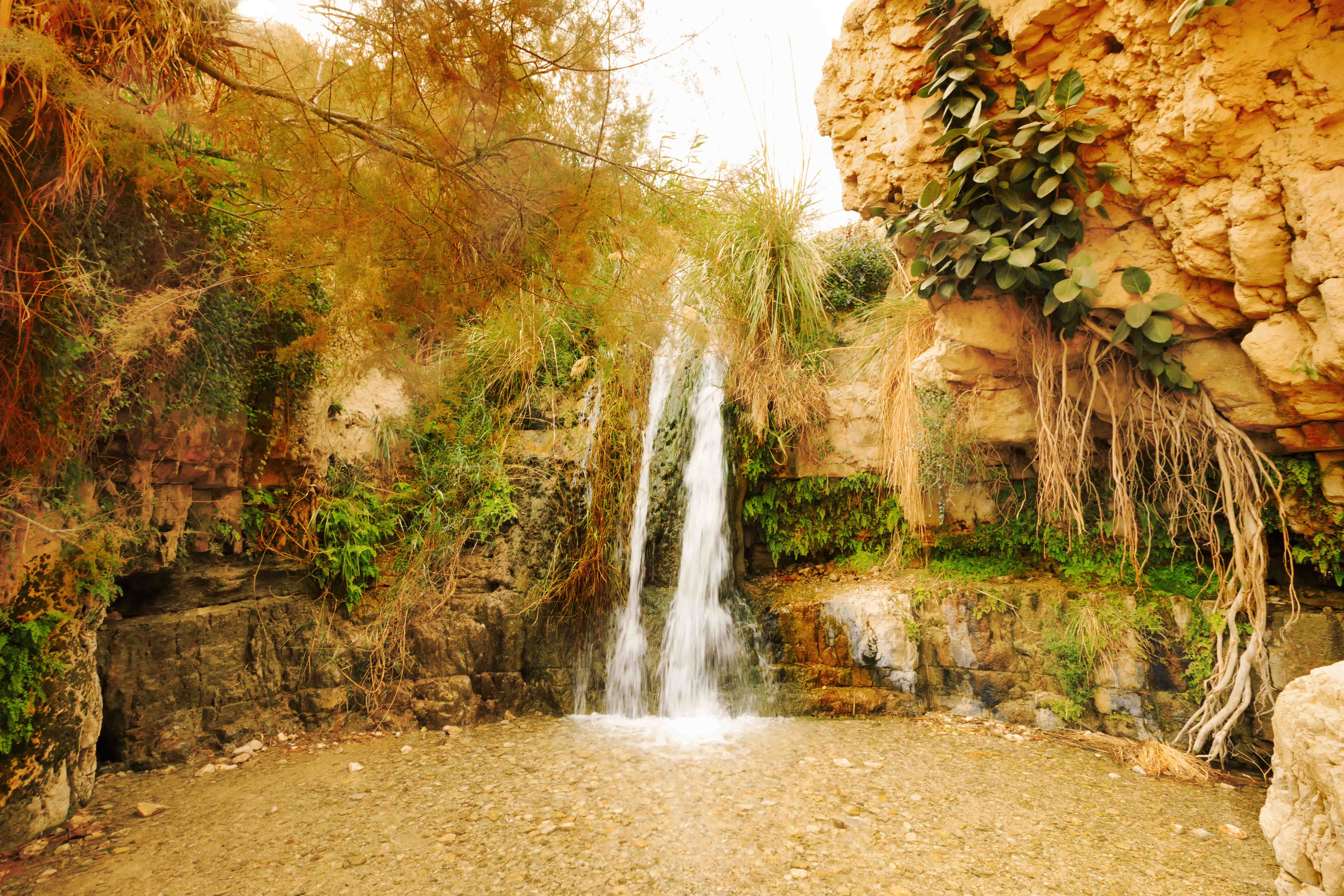 Gedi Nature Reserve in Israel. –