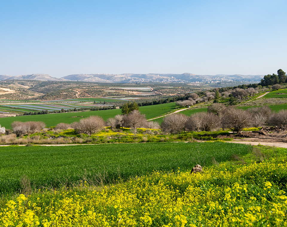 Panoramic view of the Elah Valley with Steven Rona of Israel Revealed the biblical site of David vs. Goliath.