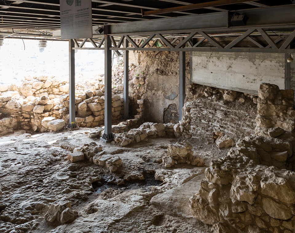 Exploring the possible remains of the ruins of King David's Palace with Steven and Daniel Rona.