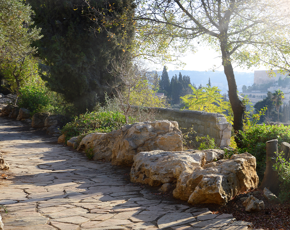 Gardens of the Orson Hyde Memorial Park on the Mount of Olives with Daniel and Steven Rona.