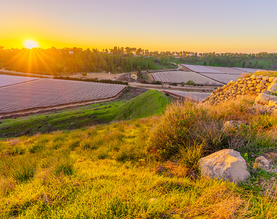 Golden sunset over the biblical ruins of Tel Lachish with expert guides Steven and Daniel Rona of Israel Revealed tours.