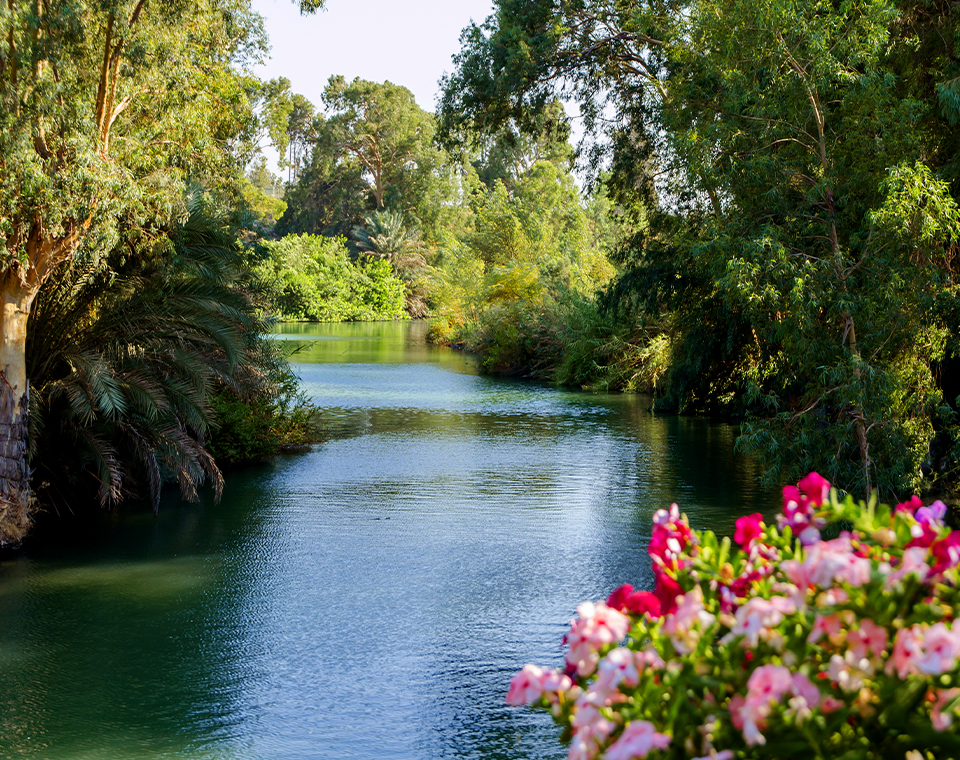 Biblical Jordan River landscape on an Israel Revealed tour with LDS licensed guides Daniel & Steven Rona.